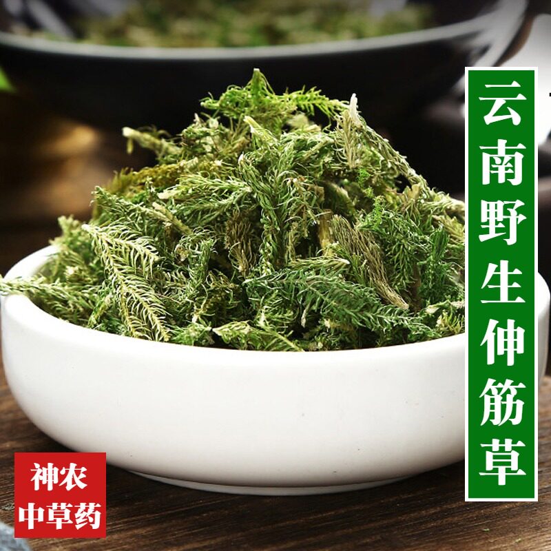 云南野生伸筋草500g材泡酒料舒筋草当季新货泡脚 另售 透骨草