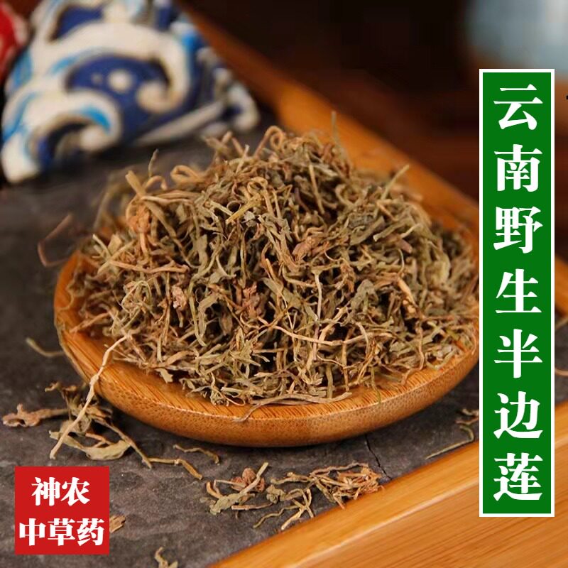 云南野生材半边莲500g精选一级无硫熏中草药清热祛毒半边菊