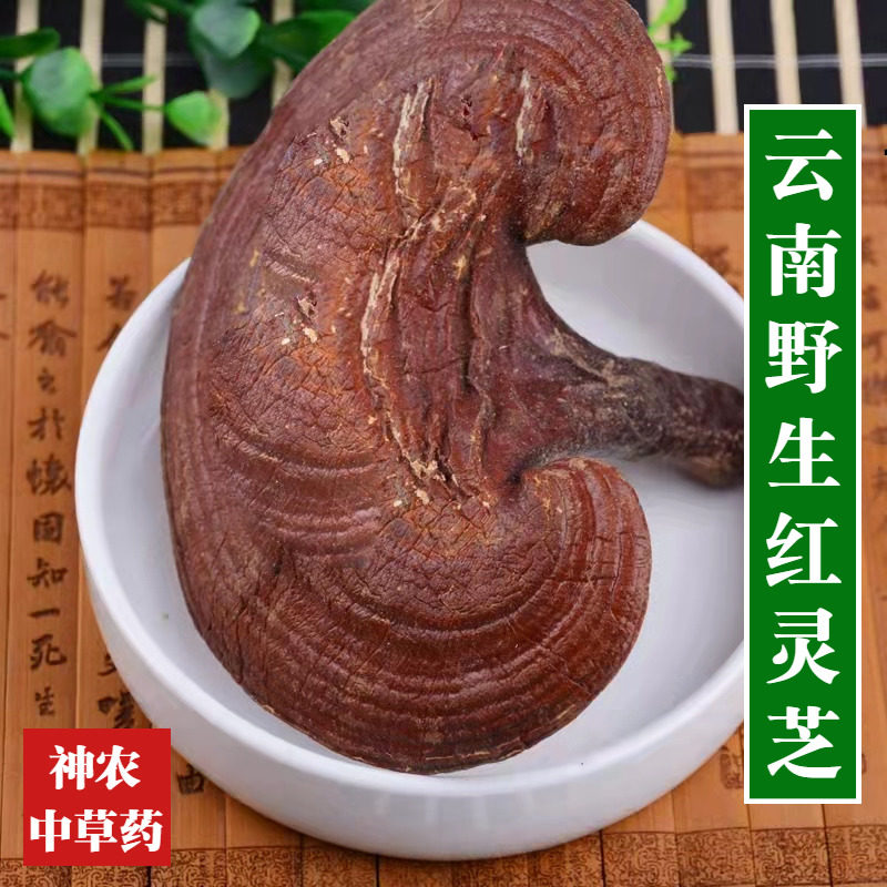 云南材野生赤灵芝500g精选正宗红灵芝天然无硫泡水喝老人滋补