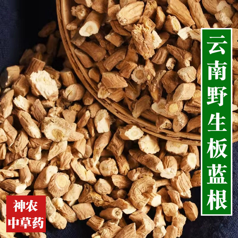 云南野生材板蓝根500g精选特级天然无硫新鲜干货泡茶喝高品质