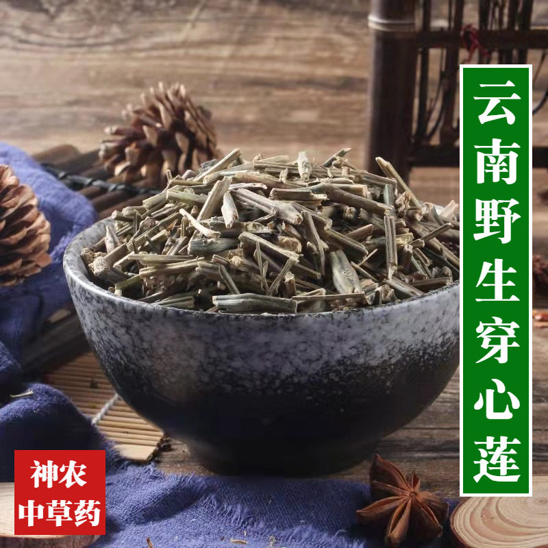 云南野生材穿心莲500g中草药精选特级天然无硫新鲜干货一见喜