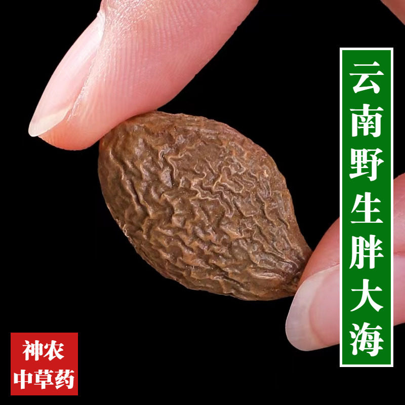 云南胖大海250g材手工精选清嗓茶润喉茶花茶草散装新货高品质