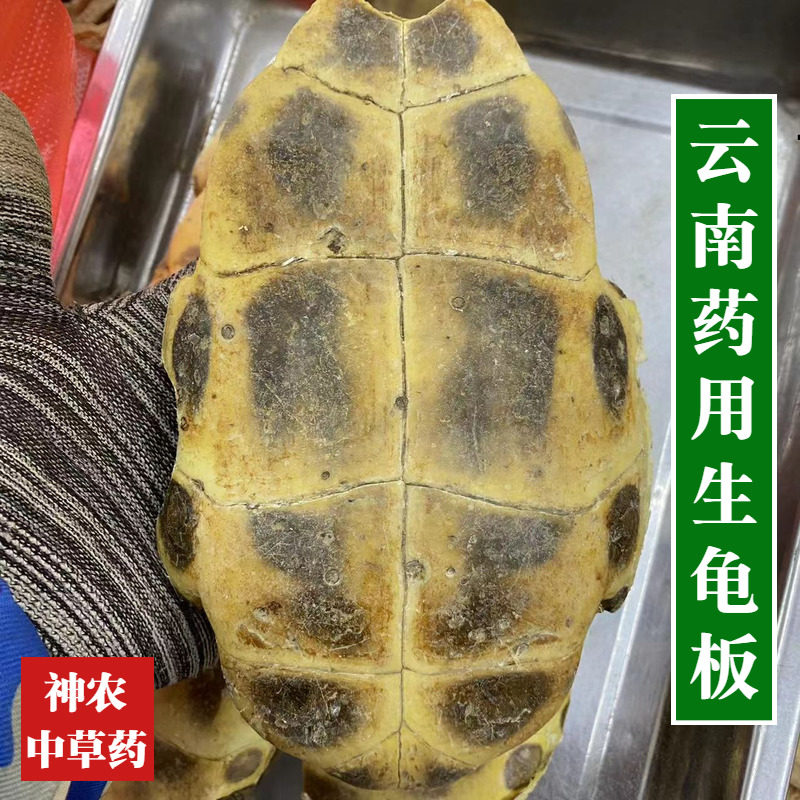 云南中草药材生龟板500g精选特级龟下甲正宗药用乌龟壳保证无添加
