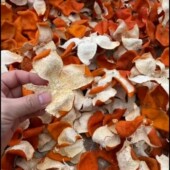 正宗四川大红袍陈皮红皮红橘皮青皮红皮桔子川陈皮