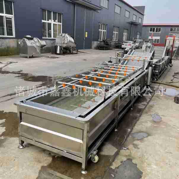 大型蔬菜清洗机304不锈钢防水防锈高压喷淋果蔬清洗机中草药清洗