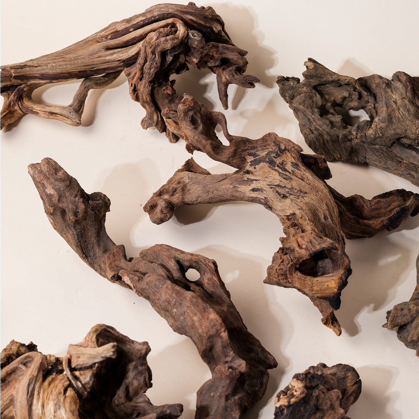 天然风化木雷击阴沉木枯化木头