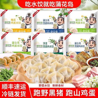 新货黑猪肉饺子荠菜槐花鸡