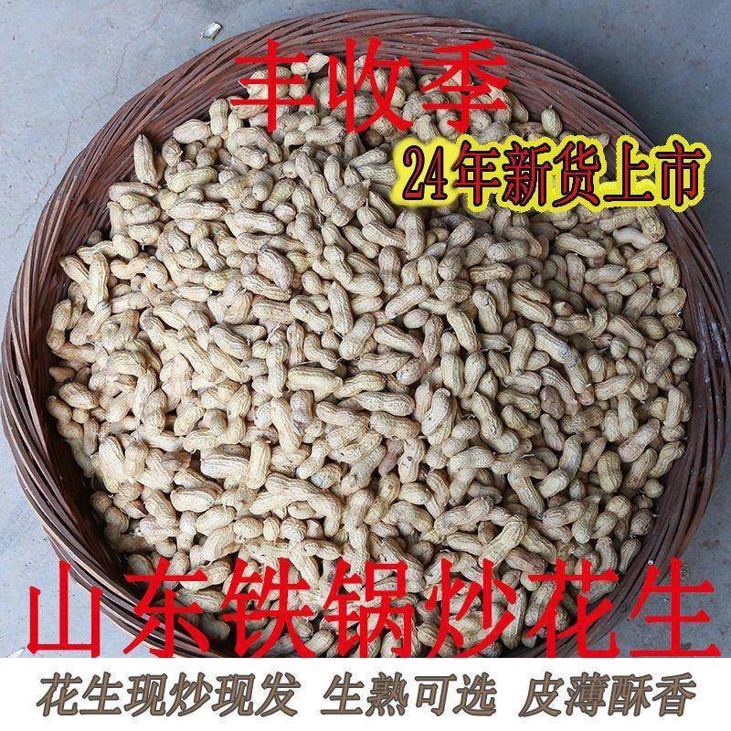 当季现炒大 小珍珠 生带壳花生晒干 干原味新鲜农家优质红皮散装