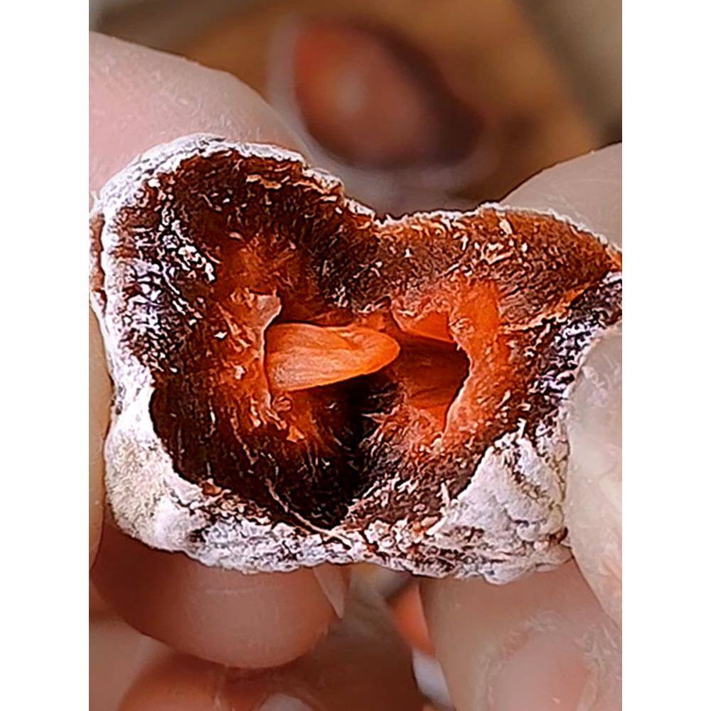 云南特产无核软籽梅子酸甜开胃话梅干蜜饯果脯孕妇宿舍休闲小零食
