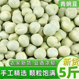 新货生青豌豆5斤 农家青豌豆生干豌豆粒杂粮麦豆焖饭煮粥煲汤干货