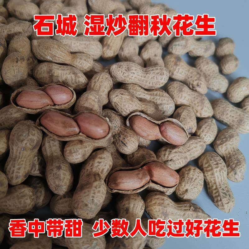 石城翻秋花生江西带壳原味