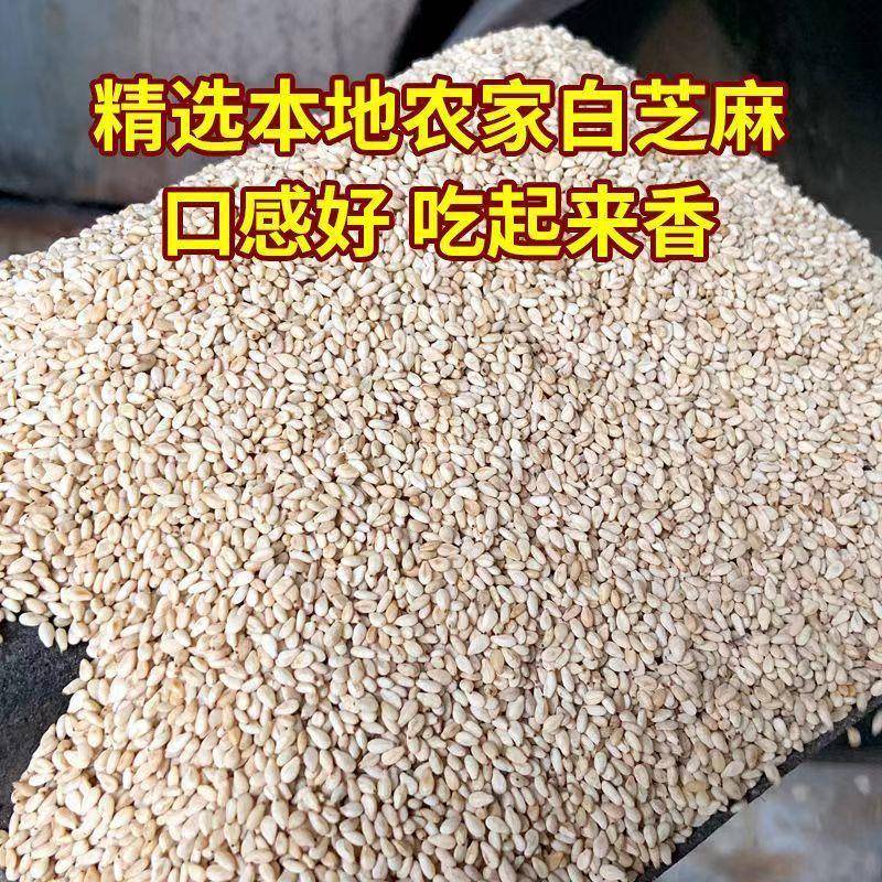 新货芝麻盐手工农家芝麻粉调料白芝麻黑白馒头拌饭蘸料1斤装河南