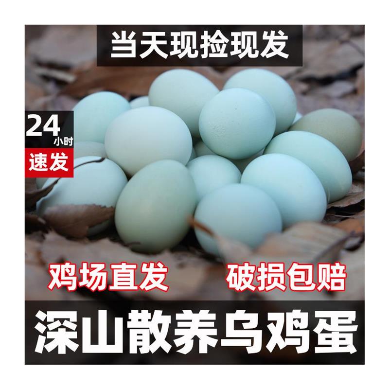 正宗农家土鸡蛋新鲜绿壳乌