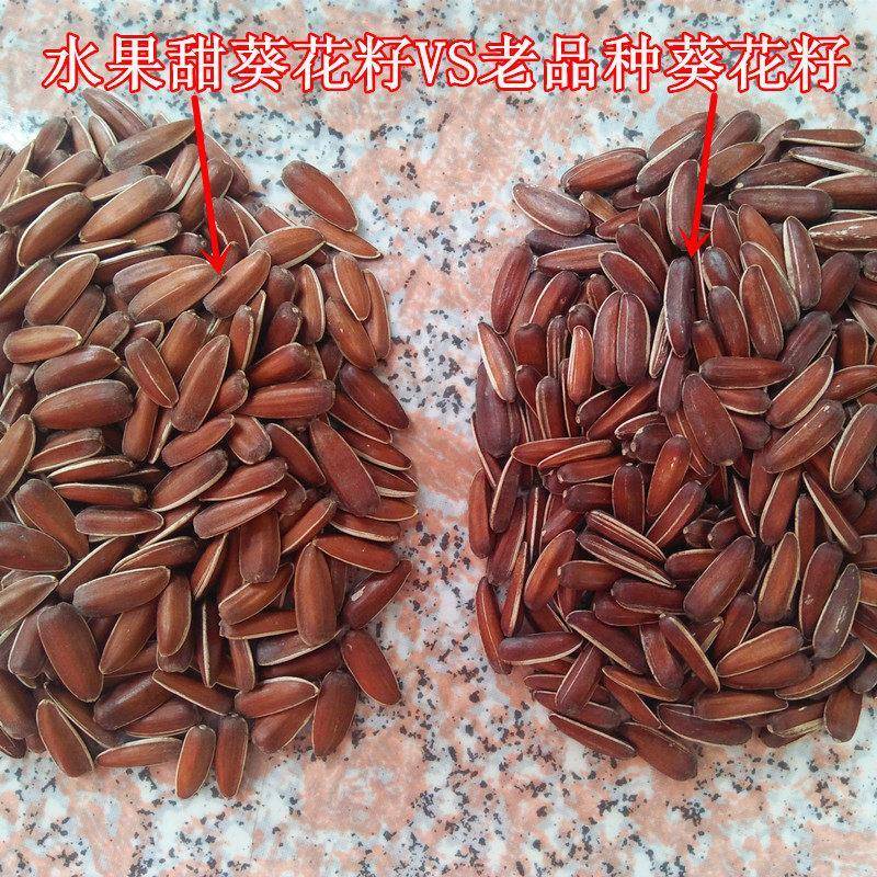 云南生红瓜子大颗粒散装小包装原味甜糯新货零食红皮瓜子生葵花籽