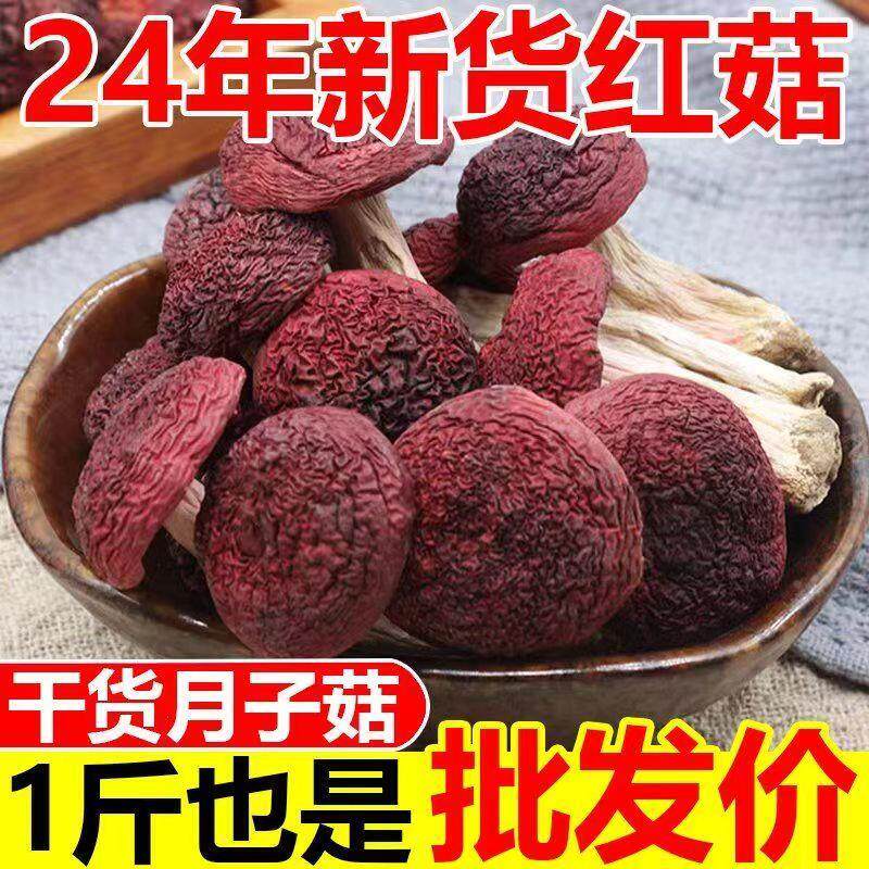 红菇福建正宗蓝底正红菇三