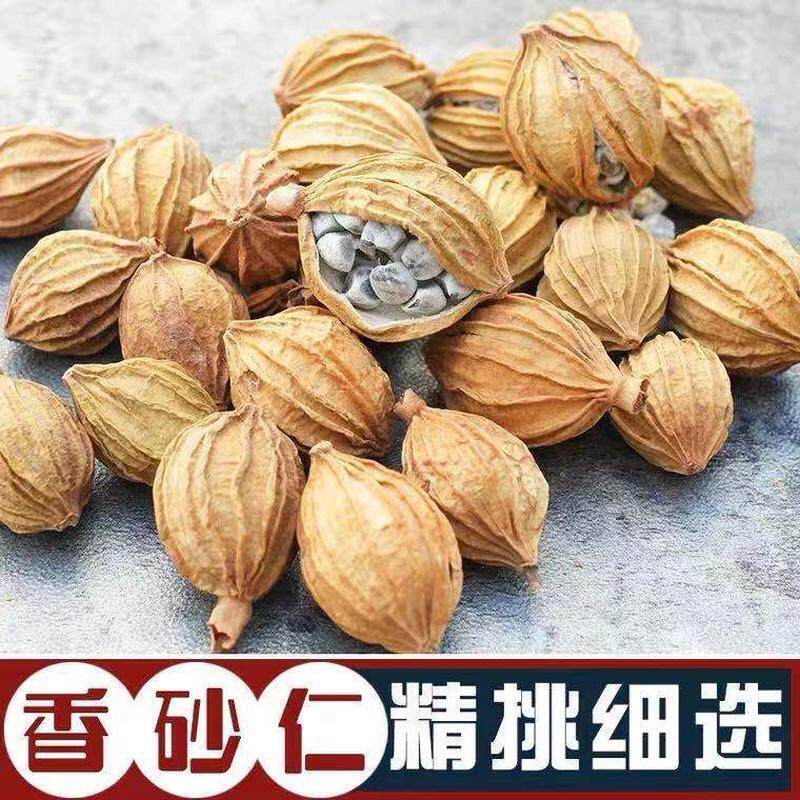 香砂仁新货香料大全川砂