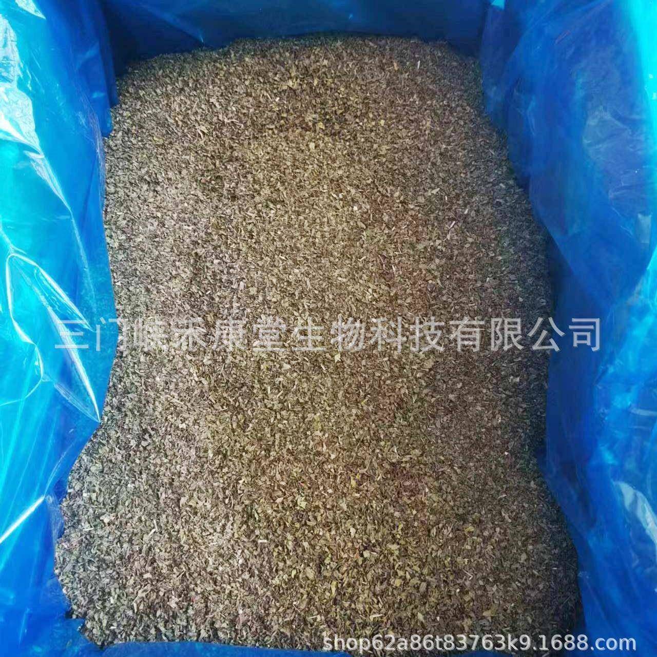 包邮留兰香薄荷茶碎散装 spearmint tea bag皱叶留兰香现货