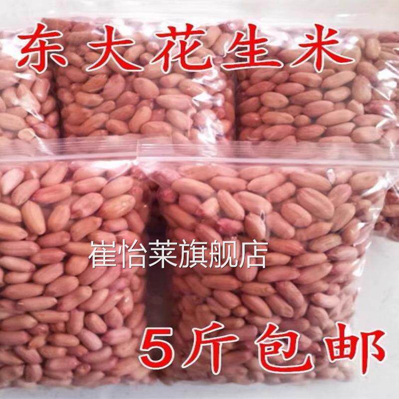 生新花生米2024新货山东