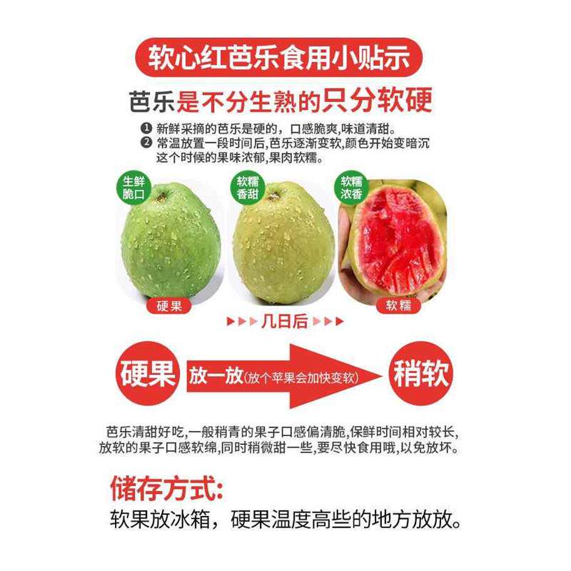广西软糯红心芭乐5斤新鲜