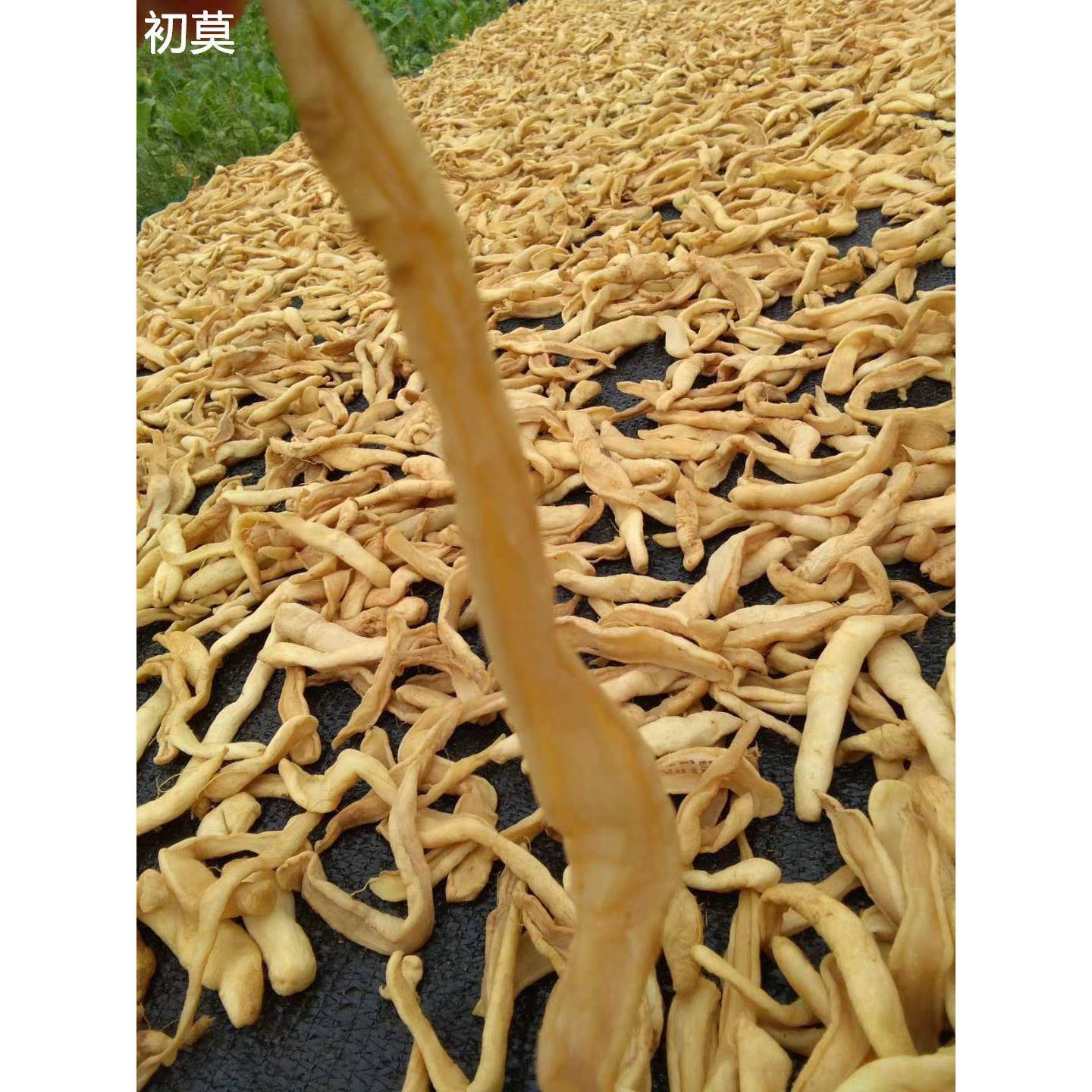1000g广西农家萝卜干自制咸萝卜干自晒干货咸菜干菜萝卜条特产