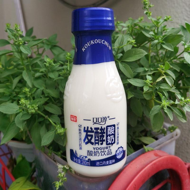 椰泰口口淳酸奶常温280毫升6瓶12瓶24瓶乳酸菌发酵营养酸牛奶饮品