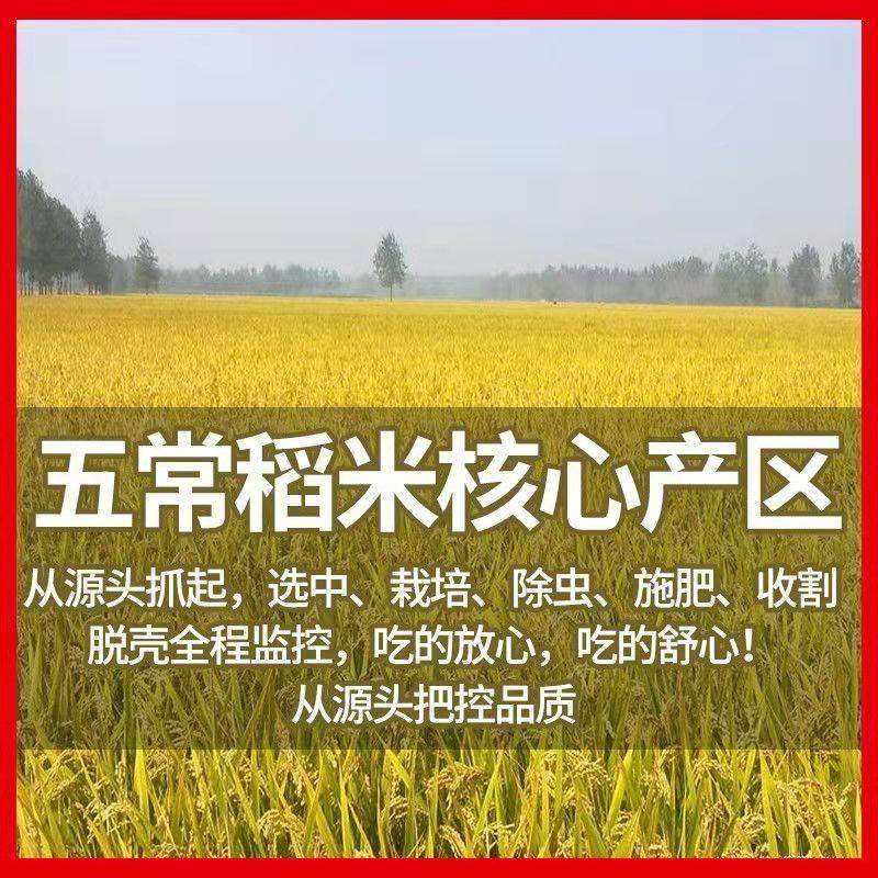 自热方便速食冲泡米饭免蒸免煮快熟户外袋装学生宿舍懒人即食食品