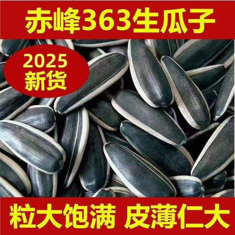 内蒙赤峰生葵花籽363大瓜