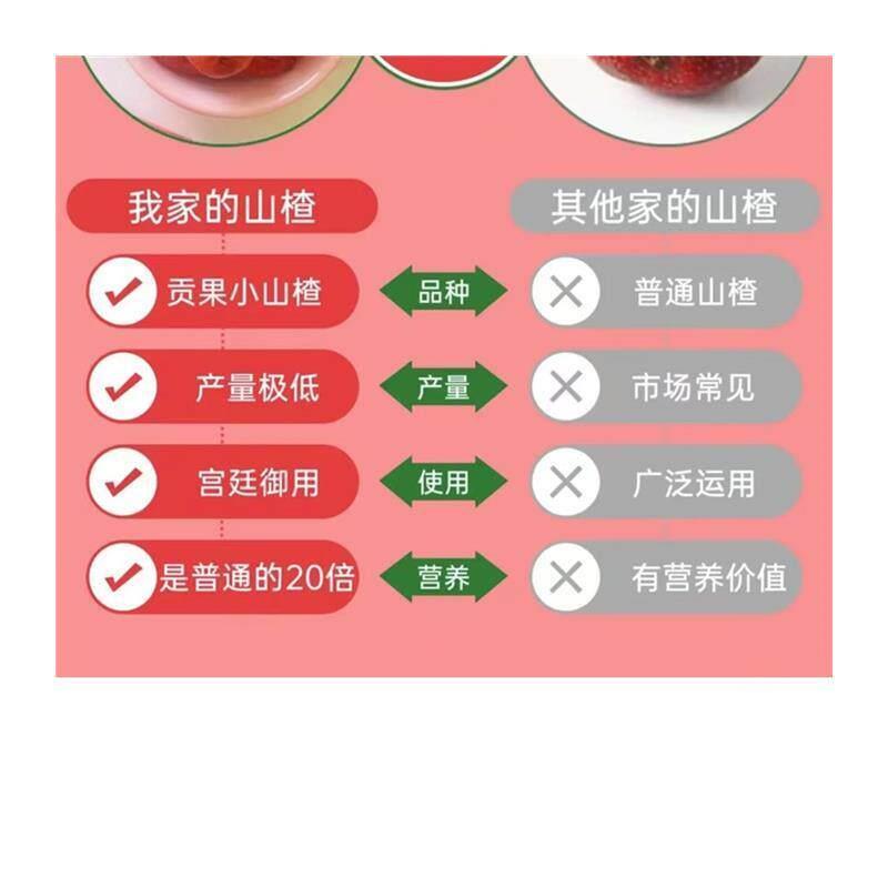 榅桲儿野山楂汁发酵果汁营养解腻山楂树125ml*15盒整箱