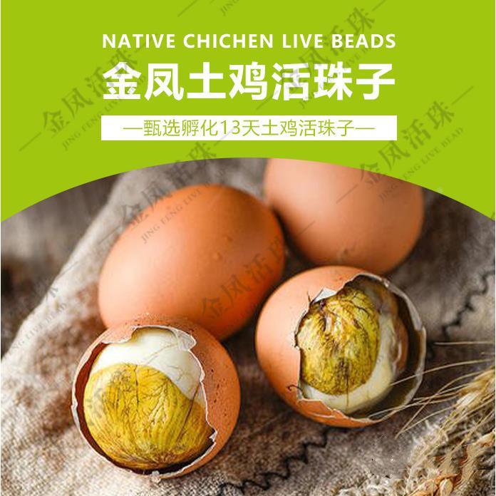 瑾贝金凤活珠子五香味新鲜13天开袋即食熟鸡胚蛋凤凰蛋钢化蛋厂家