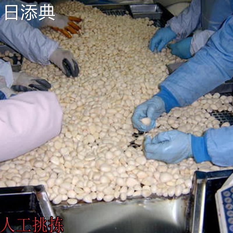去皮大蒜蒜米山东金乡人工去皮现剥现发蒜米新鲜紫皮蒜籽五真空