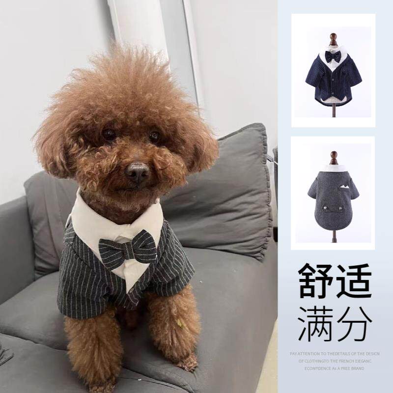 宠物男狗狗穿衣服结婚拍照婚礼泰迪比熊博美礼服伴郎陪嫁领结西装图片