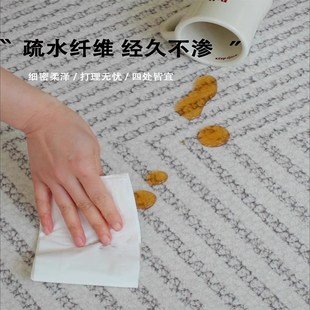 奶油风卧室地垫家用免洗可擦沙发垫轻奢高级 防水防污地毯客厅法式