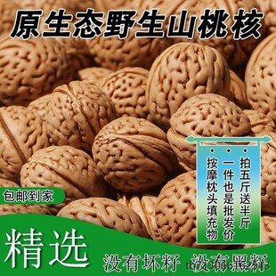 野生山桃核散籽毛桃新鲜病枕头填充物脑纹桃核原籽桃子核枕头