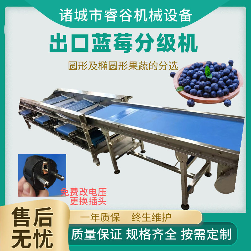 商用蓝莓分选机蓝莓筛选机器 孔带分选设备分选机新款出口分级机