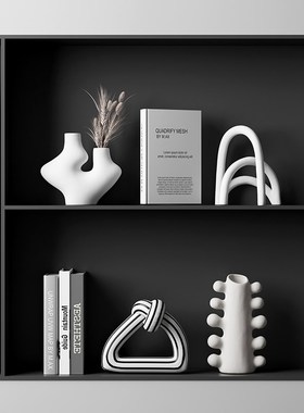 zon 现代抽象家居软装饰品客厅电视柜级感样板间酒柜