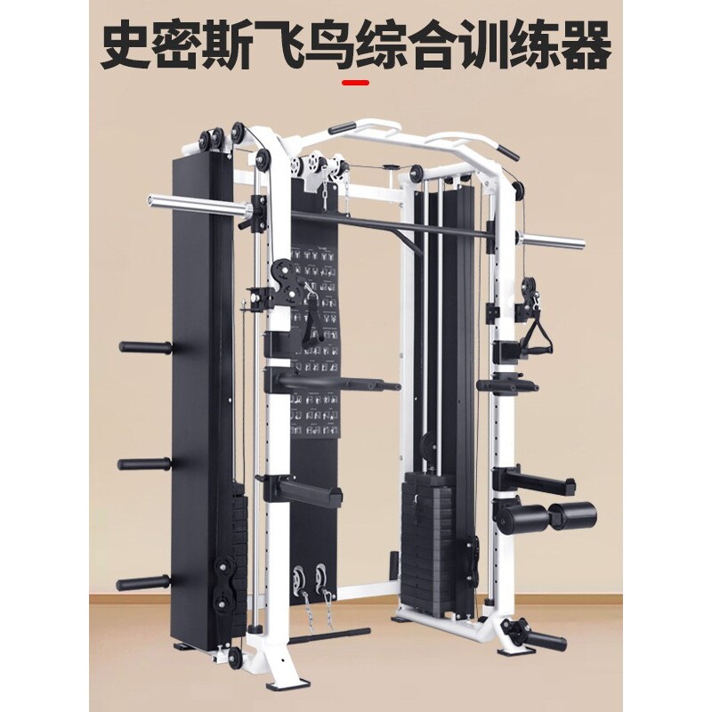 健身房史密斯机商用飞鸟龙门架卧推深蹲架室内综合训练器健身器材