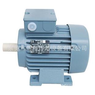 德国VEM2极电机马达 原装 德国VEM电机K21R100L2 3KW铸铁马达