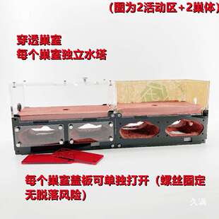 混凝土蚁巢穿透巢体无限加叠升级款蚂蚁工坊城堡沙巢宠物蚂蚁