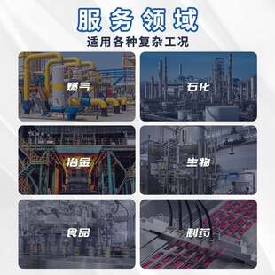 不锈钢隔膜压力表法兰螺纹连接气压水压卫生系统石油化工替布莱迪