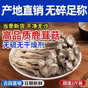 鹿茸菇干货正品官方旗舰店福建古田特产香菇蘑菇新鲜煲汤脆菇菌菇