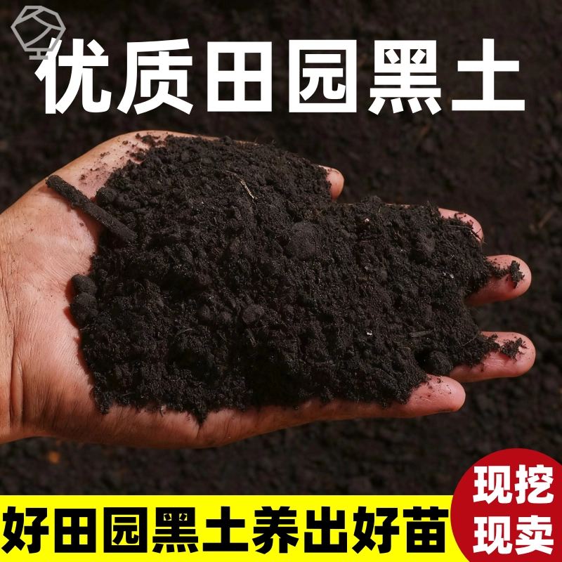天然田园黑土养花种菜通用型种植土壤阳台园土果蔬盆栽专用泥土,鲜花速递/花卉仿真/绿植园艺,土壤覆盖物,淘宝优惠券,粉丝福利购,淘宝优惠卷