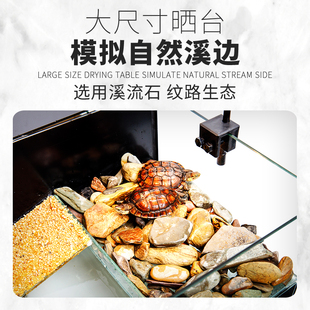 乌龟缸带晒台别墅背滤底部排水免换水家用大型玻璃水陆饲养缸