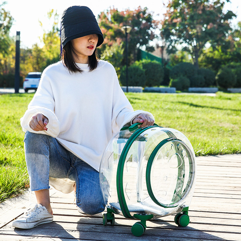 宠物拉杆箱透明猫包多功能猫咪泡泡箱手提太M空舱狗狗外出背包用,宠物/宠物食品及用品,背包/箱包,淘宝优惠券,粉丝福利购,淘宝优惠卷