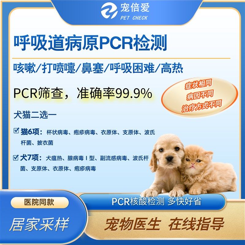 猫狗呼吸道六联pcr检测支原体疱疹杯状猫鼻支猫狗U咳嗽喷嚏流鼻涕