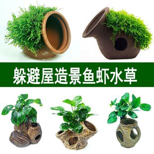 紫砂花瓶躲避屋鱼缸造景大叶榕水摆件莫斯增氧鱼虾繁殖窝装饰