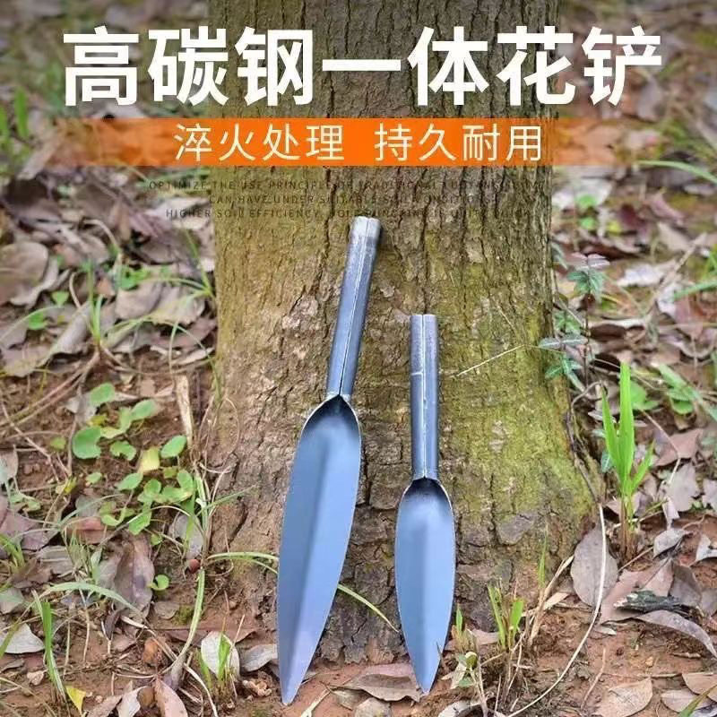 便携式挖野菜铲迷你除铲阳台种花松土铲园艺小工具,鲜花速递/花卉仿真/绿植园艺,园艺用品套装,淘宝优惠券,粉丝福利购,淘宝优惠卷