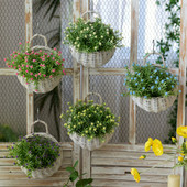 新款 饰挂件客厅创意盆 白色壁挂篮卧室墙上仿真艺装