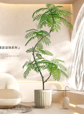 客厅大型落地电视柜旁边饰品室内假蓝楹仿真绿植