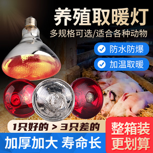 猪用保温灯养殖场专用取暖灯泡y小鸡育雏加热烤灯防水防爆兽用养