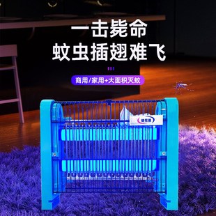 LED灭蚊灯2w4w6w8w酒店厕所家D商用无辐射静音驱蚊灭蝇餐厅捕蚊灯